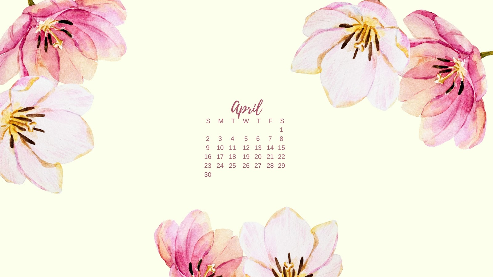 4 월 벽지,꽃잎,달력,분홍,꽃,식물