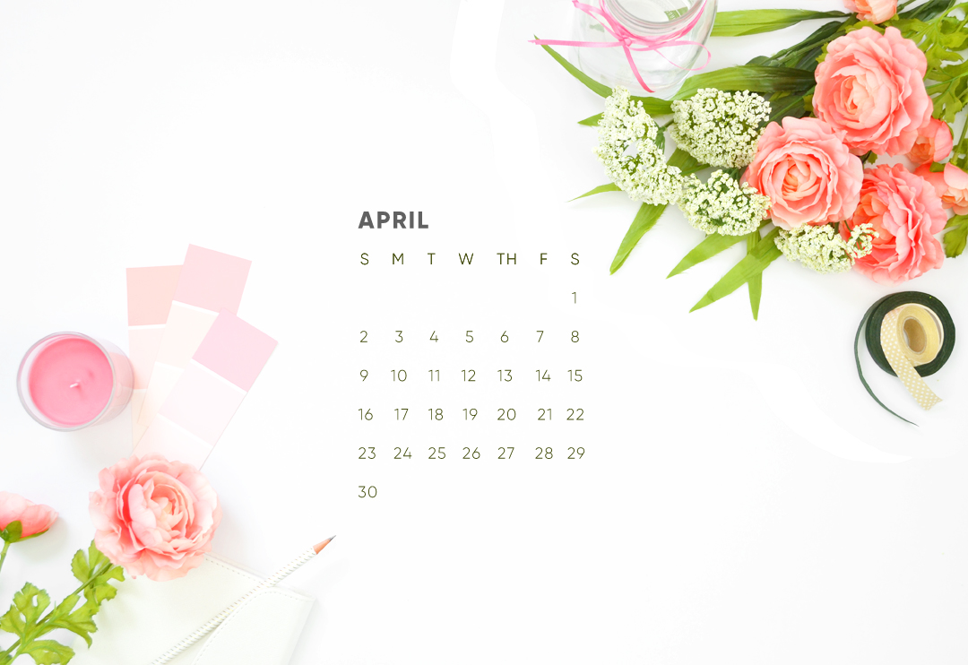 4 월 벽지,분홍,본문,꽃,장미,폰트