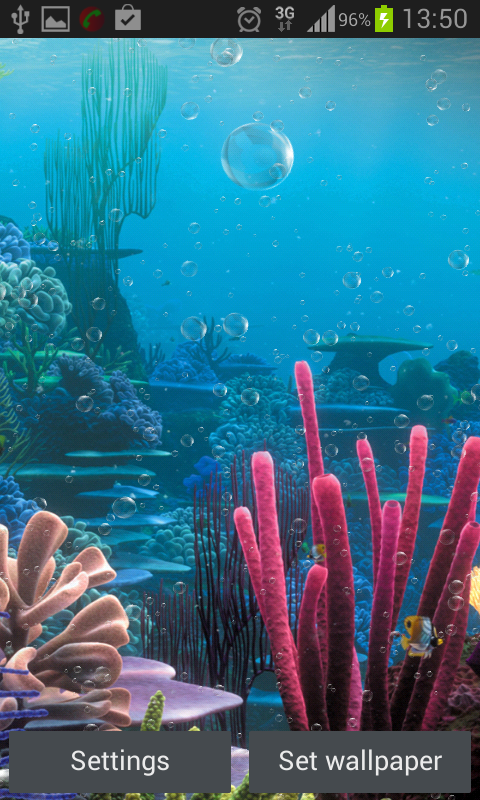 mar live wallpaper,submarino,agua,biología marina,arrecife de coral,arrecife