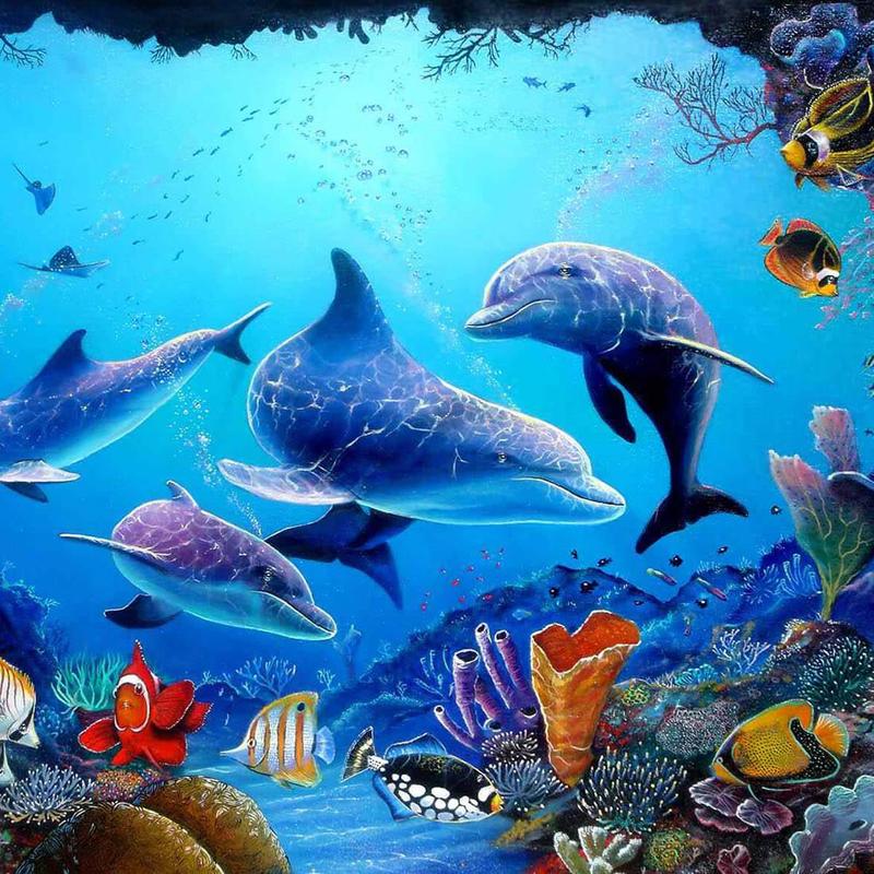 바다 라이브 벽지,해양 생물학,해양 포유류,돌고래,수중,병코 돌고래
