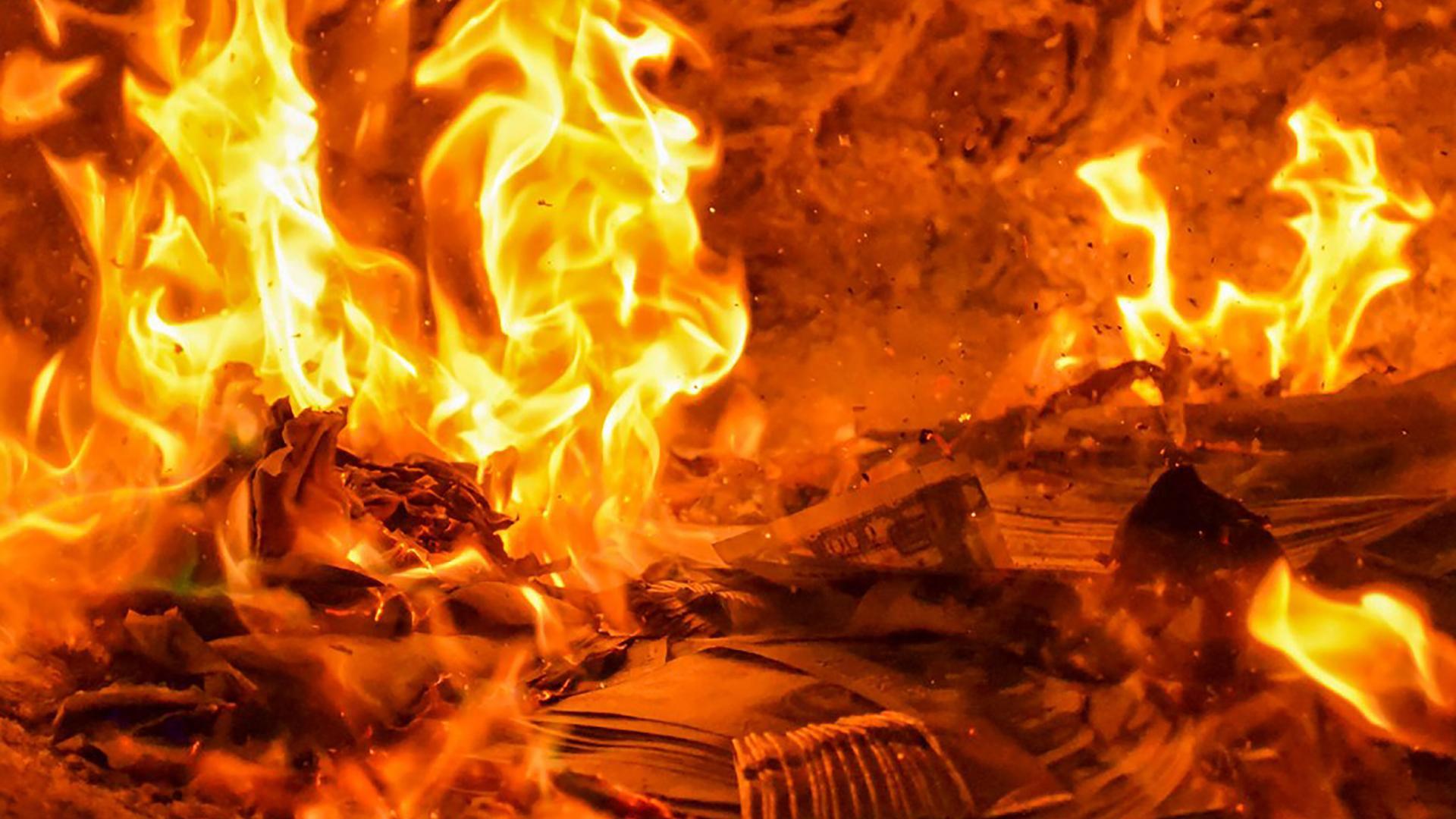 money live wallpapers,flame,fire,heat,wildfire,bonfire