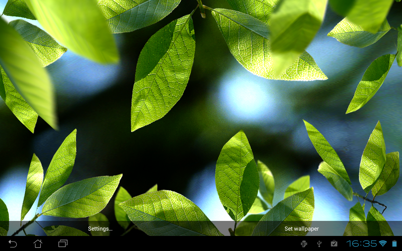 foglia live wallpaper,foglia,verde,natura,pianta,albero