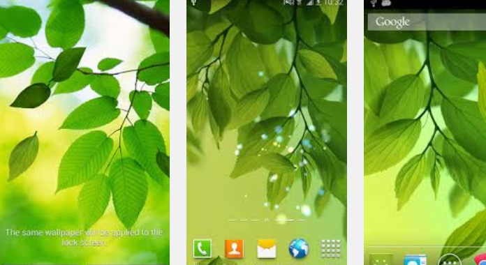 leaf live wallpaper,leaf,tree,plant,green,woody plant