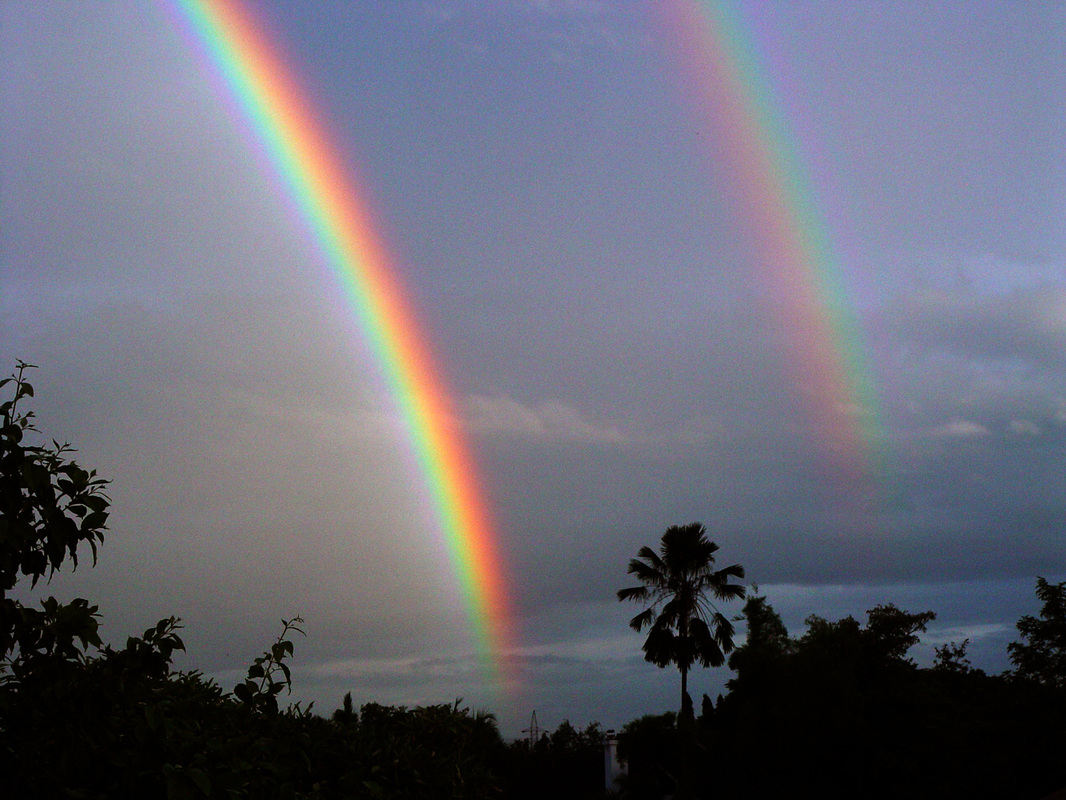 doble fondo de pantalla,arco iris,cielo,nube,atmósfera,árbol