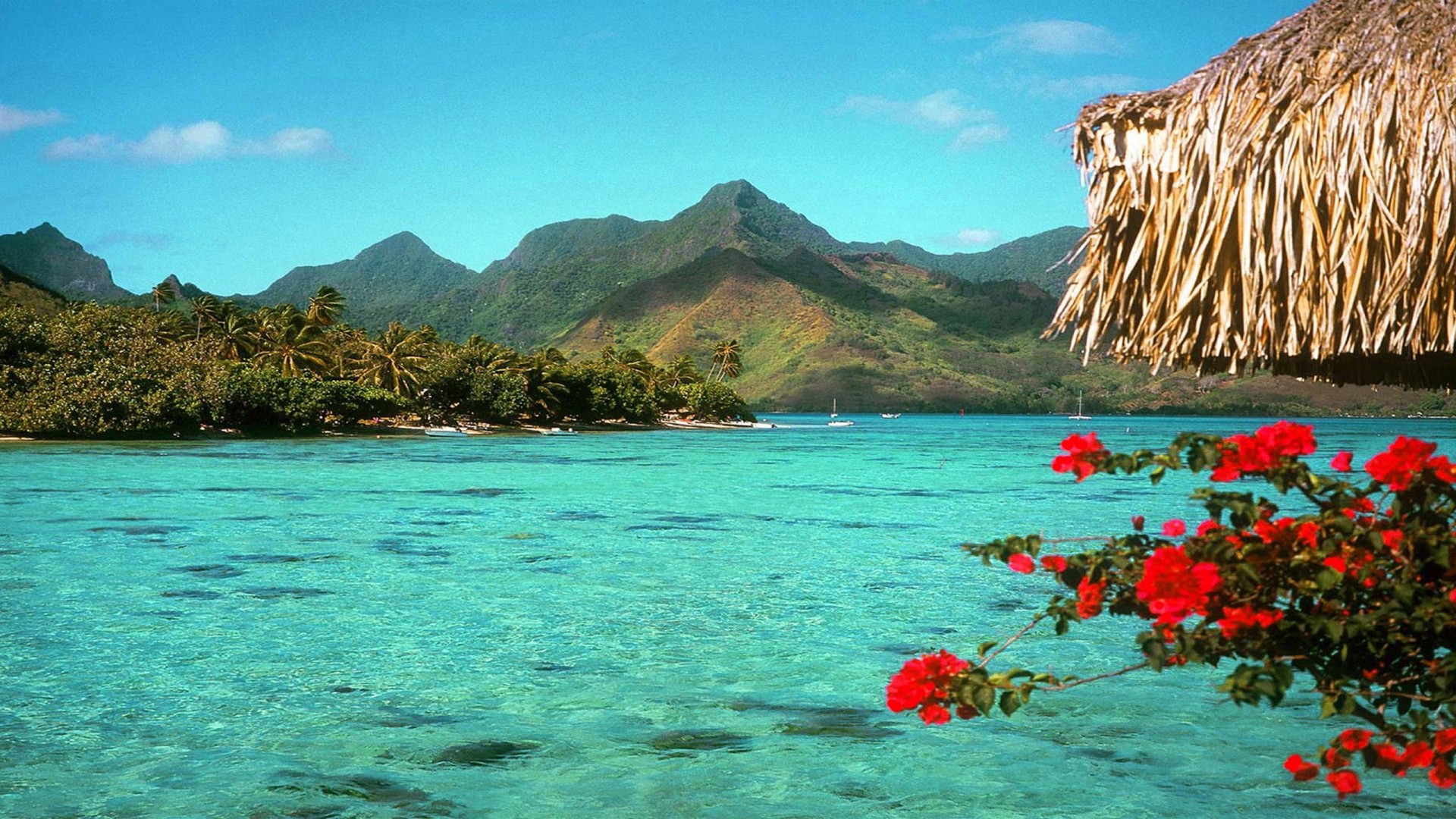 sfondo dello schermo,corpo d'acqua,natura,paesaggio naturale,mare,montagna