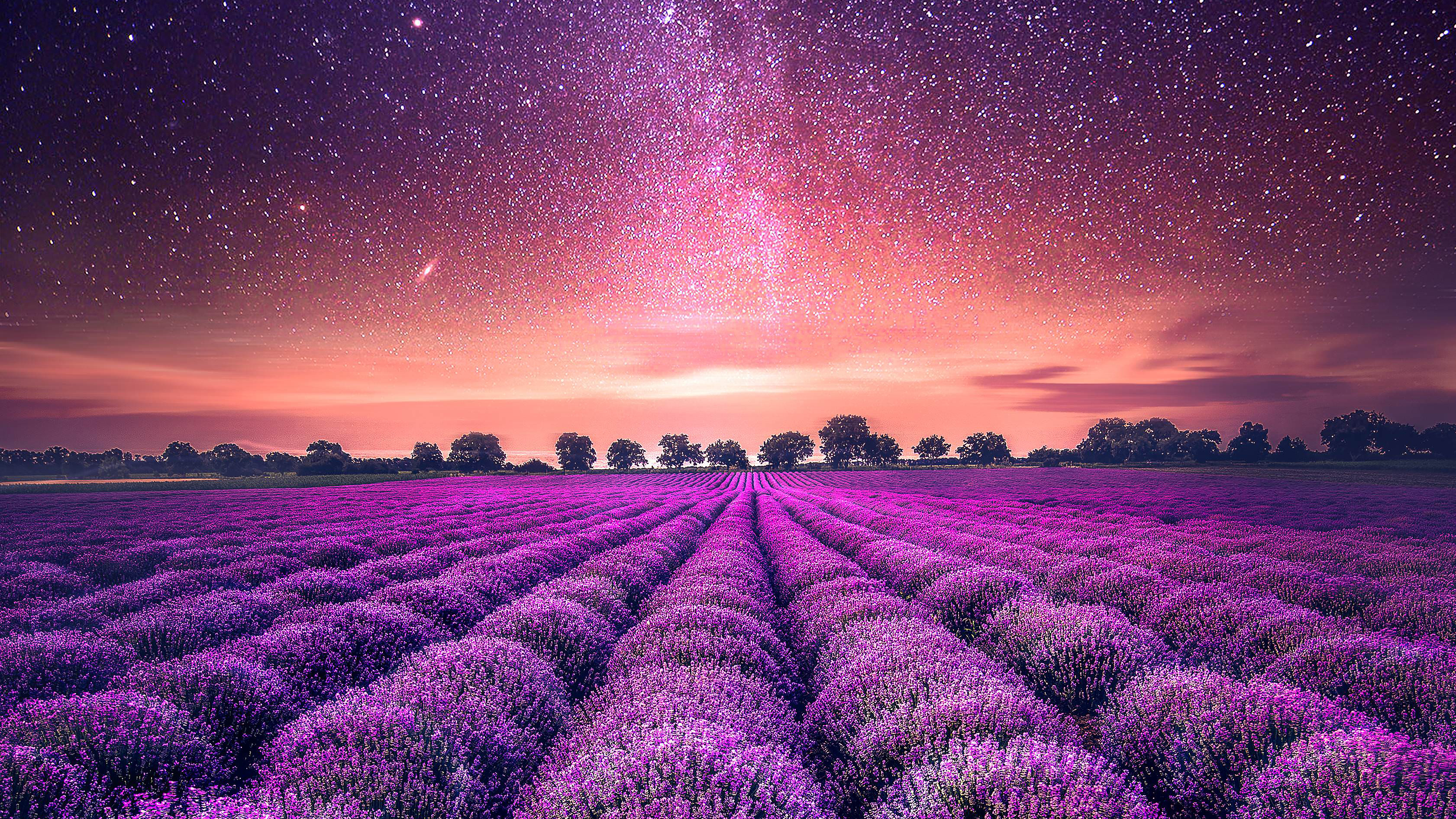 lavendel tapete,himmel,lavendel,lila,natürliche landschaft,violett