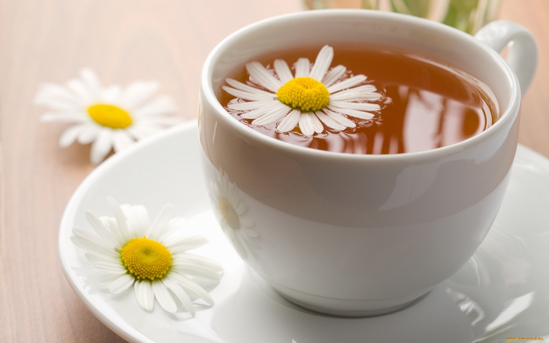Flower Tea Image With Cup- WallpaperUse