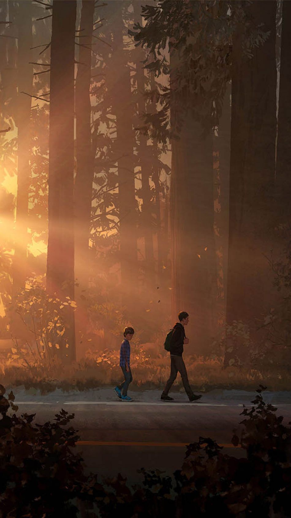 fond d'écran sur la vie,ciel,atmosphère,arbre,lumière du soleil,forêt