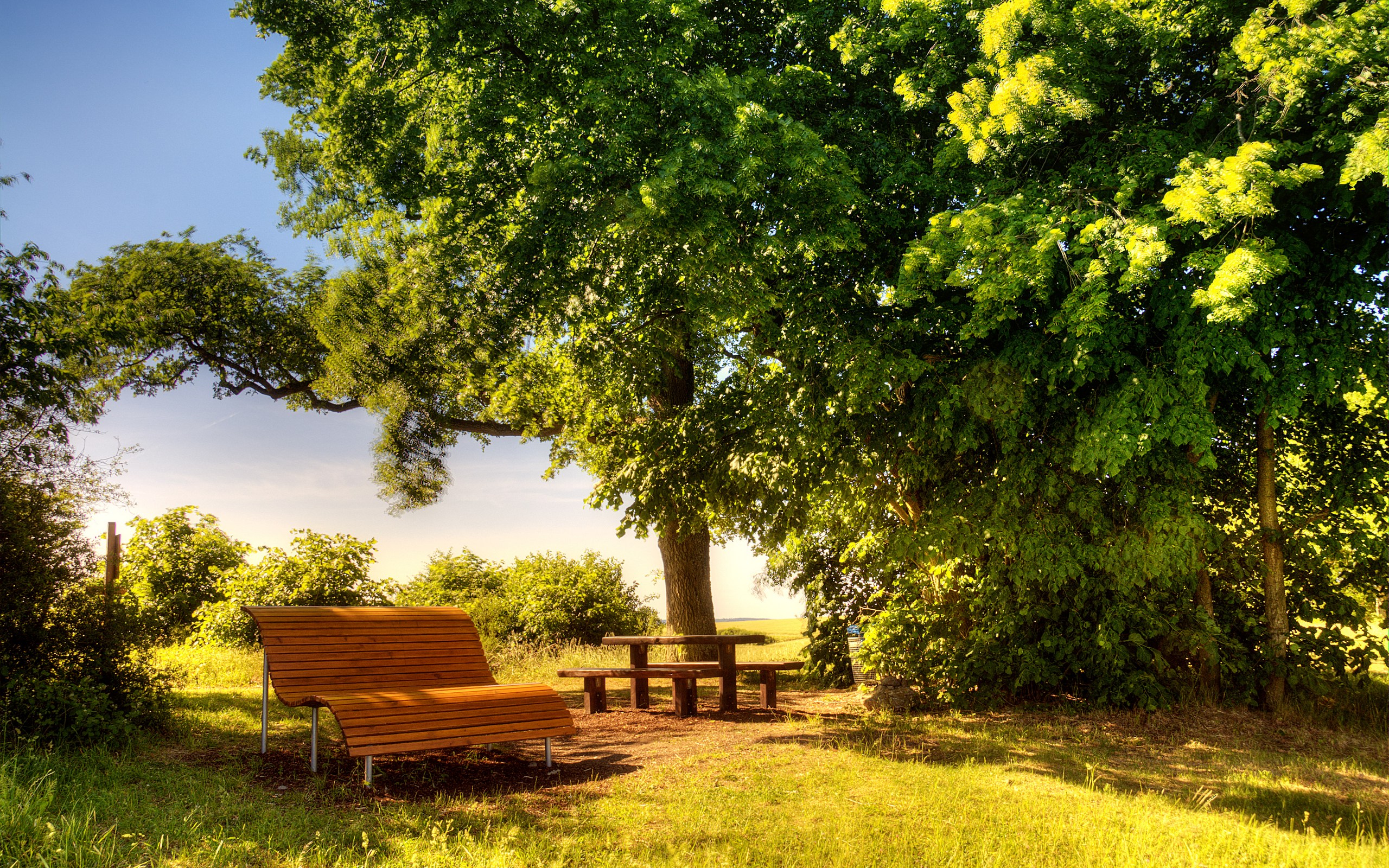 day wallpaper,nature,natural landscape,tree,bench,green