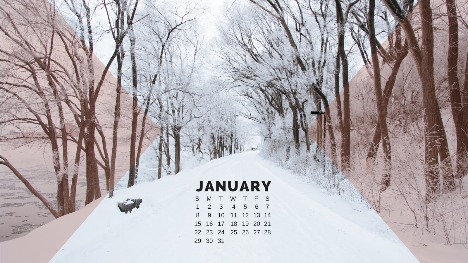 january wallpaper,snow,winter,tree,text,calendar