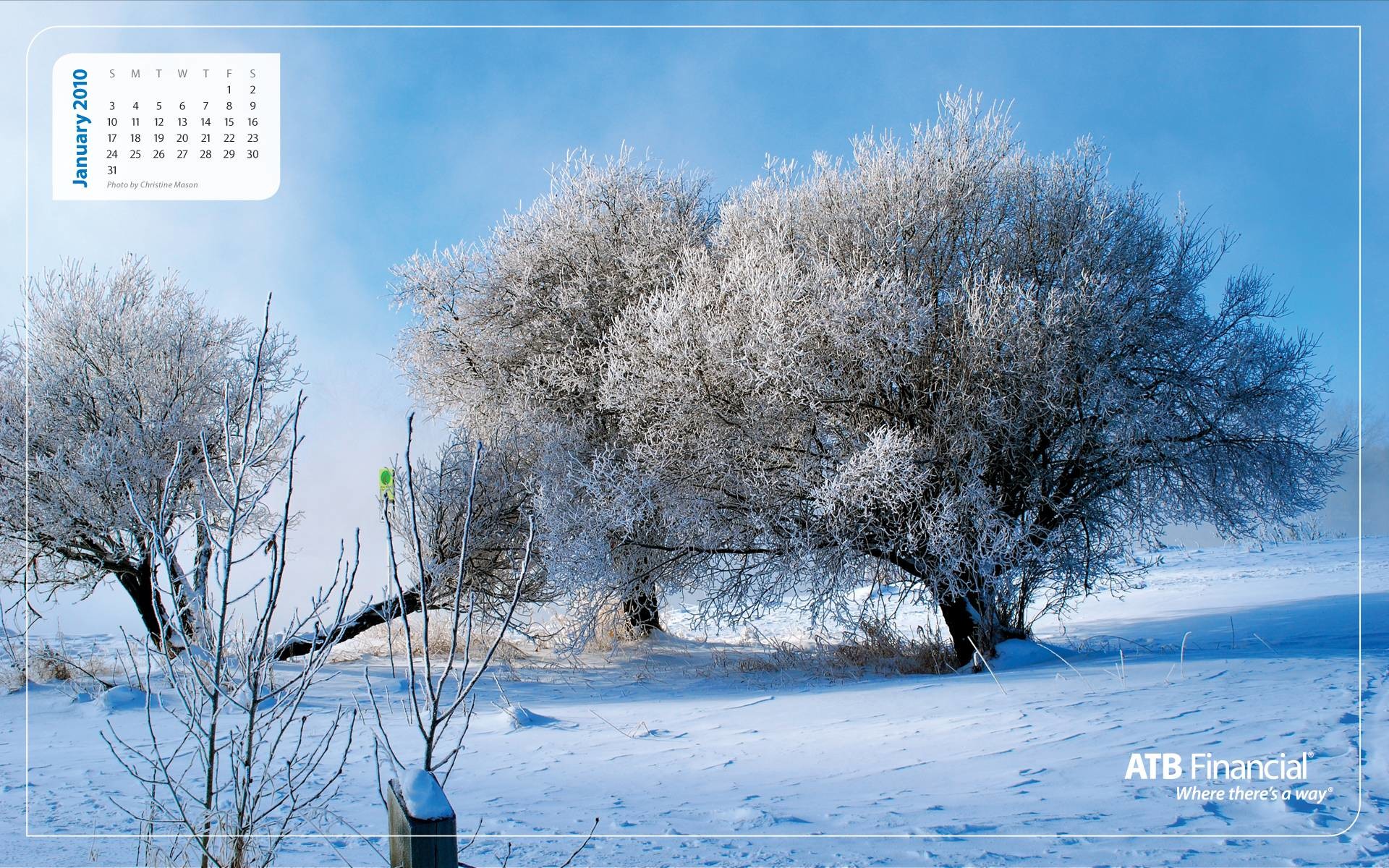 1月の壁紙,冬,雪,霜,木,自然の風景