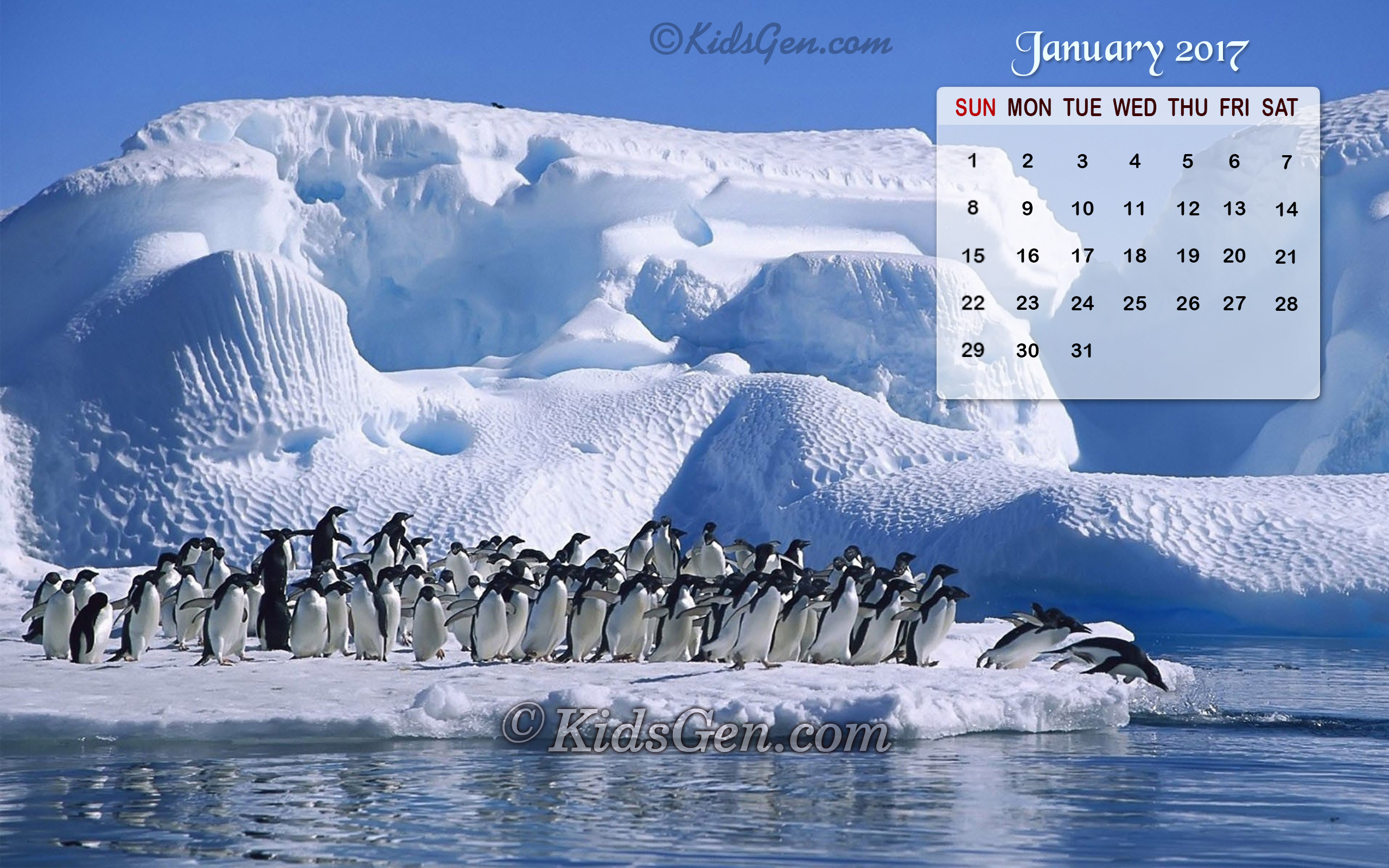 enero fondo de pantalla,pingüino,ave no voladora,ártico,pingüino emperador,hielo