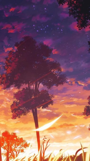 fond d'écran j5,ciel,arbre,nuage,violet,rémanence
