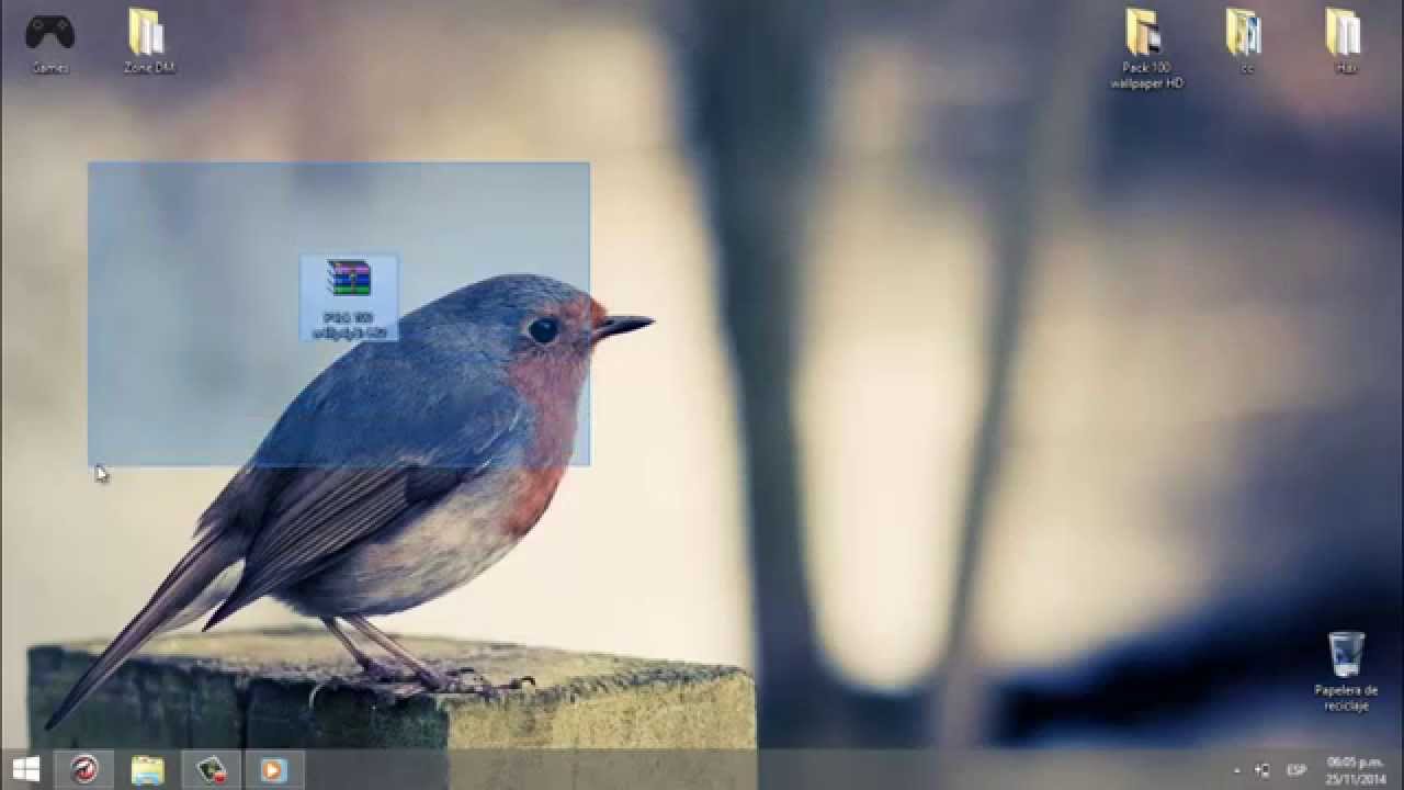 windows 10 wallpaper pack,vogel,fliegenfänger der alten welt,hockender vogel,tierwelt,singvogel