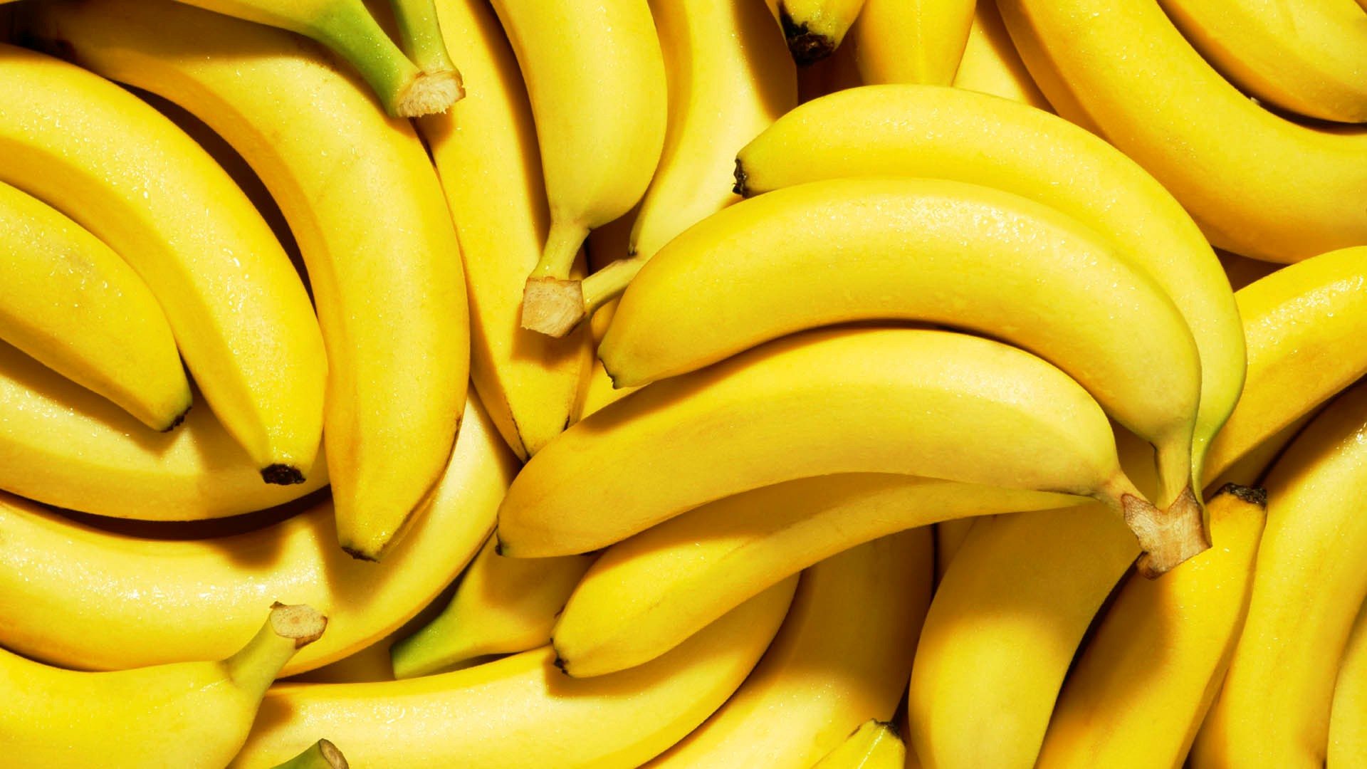 carta da parati banana,alimenti naturali,famiglia di banane,banana,banana saba,giallo