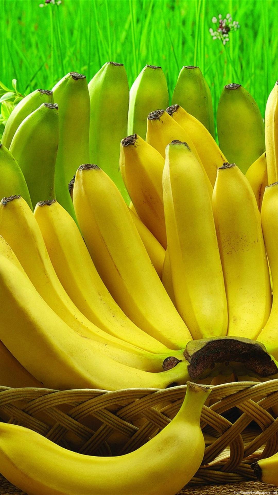 papier peint banane,famille de bananes,banane saba,banane,plante,aliments naturels