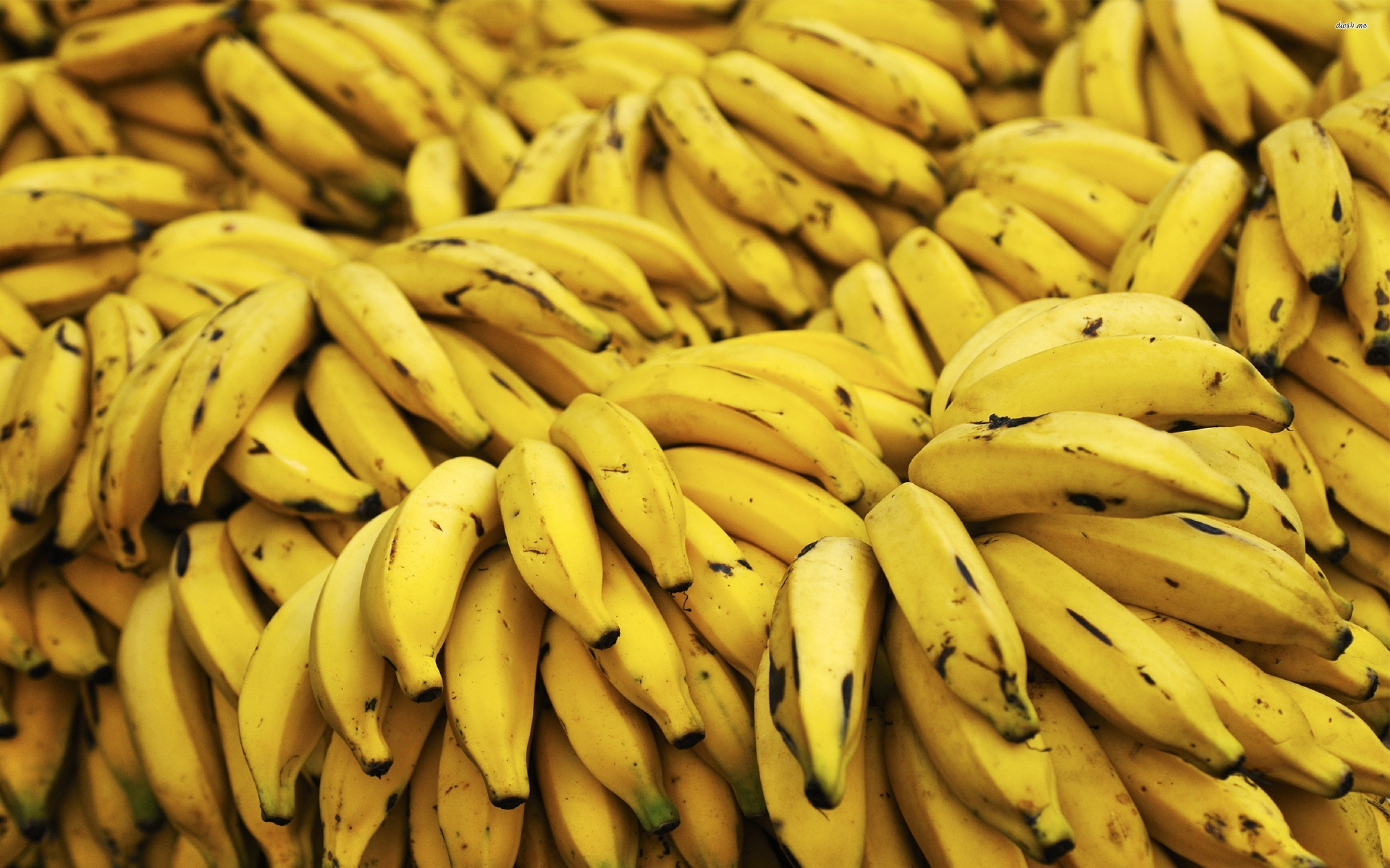 papier peint banane,aliments,jaune,banane,famille de bananes,aliments naturels