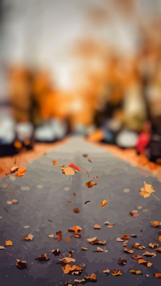 hair style wallpaper boy,leaf,orange,autumn,sky,tree