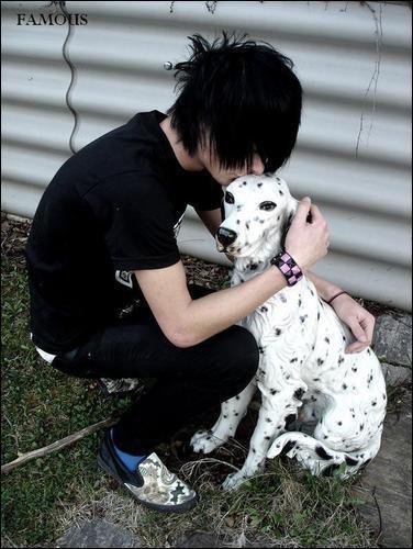 ragazzo carta da parati stile di capelli,dalmata,cane,gruppo non sportivo,cane da compagnia,great dane