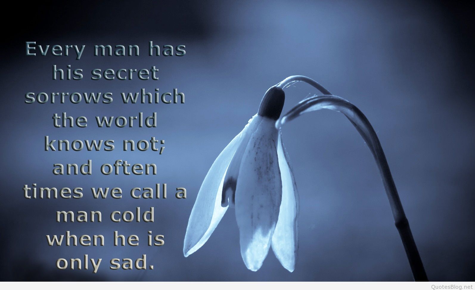 sad wallpapers with quotes,text,snowdrop,water,font,still life photography