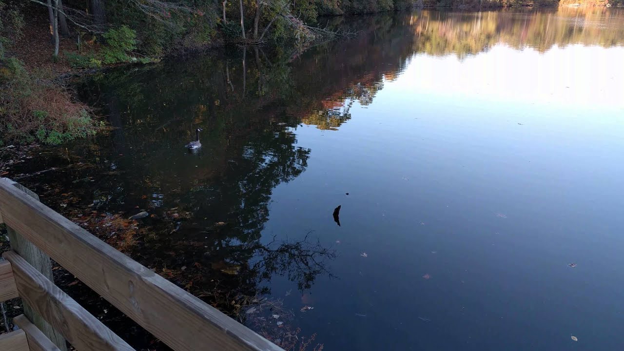 fond d'écran nexus 6p,ressources en eau,l'eau,réflexion,voie navigable,cours d'eau