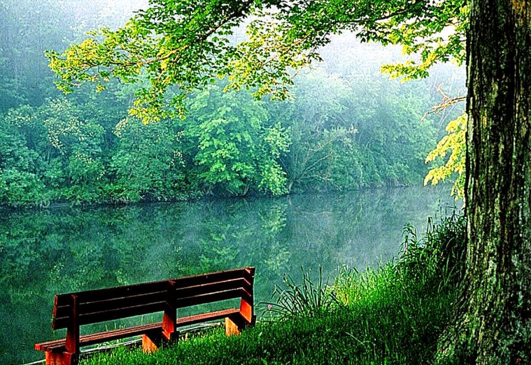 ナチュラルhdの壁紙,自然の風景,自然,緑,木,湖