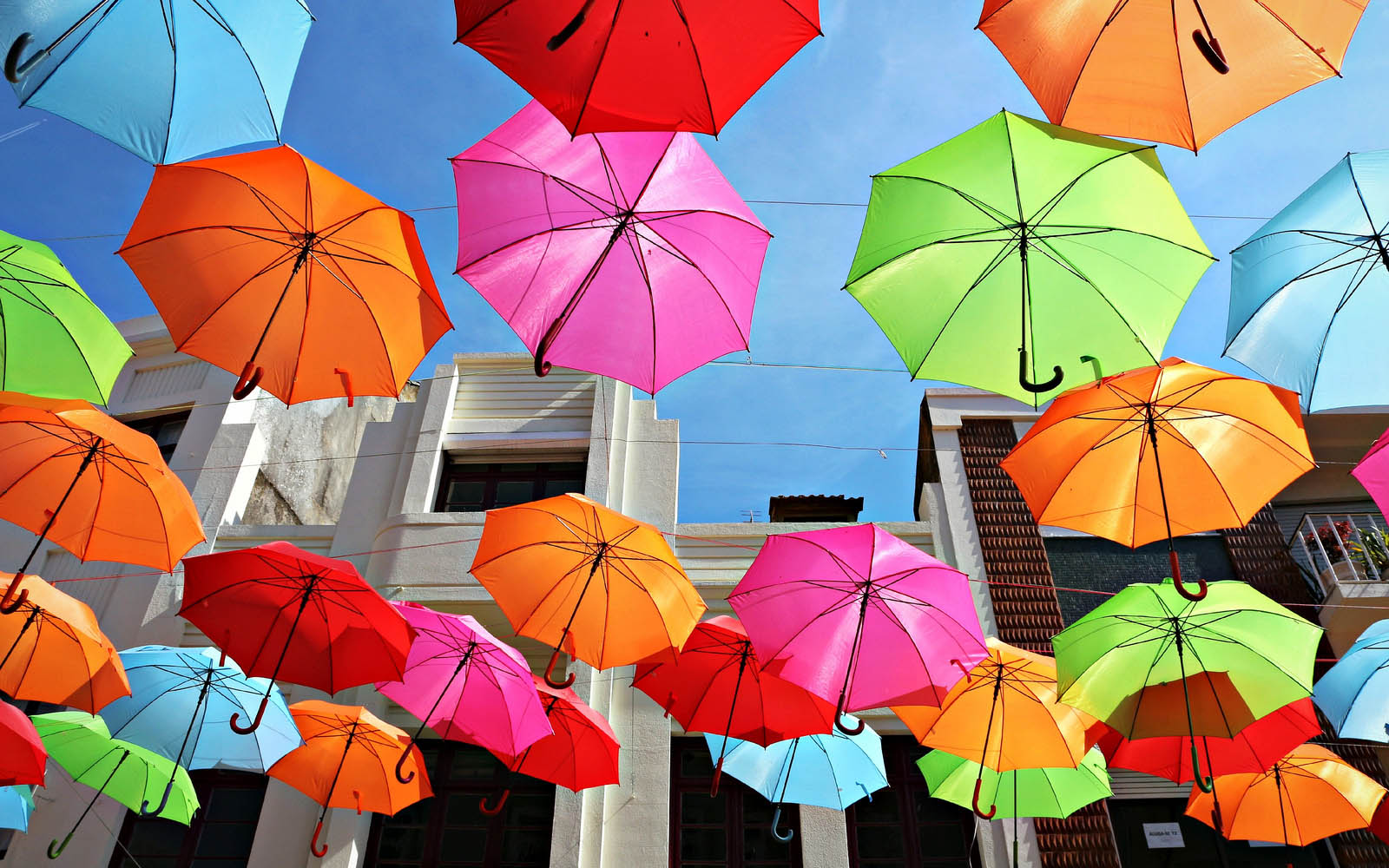 우산 벽지,우산
