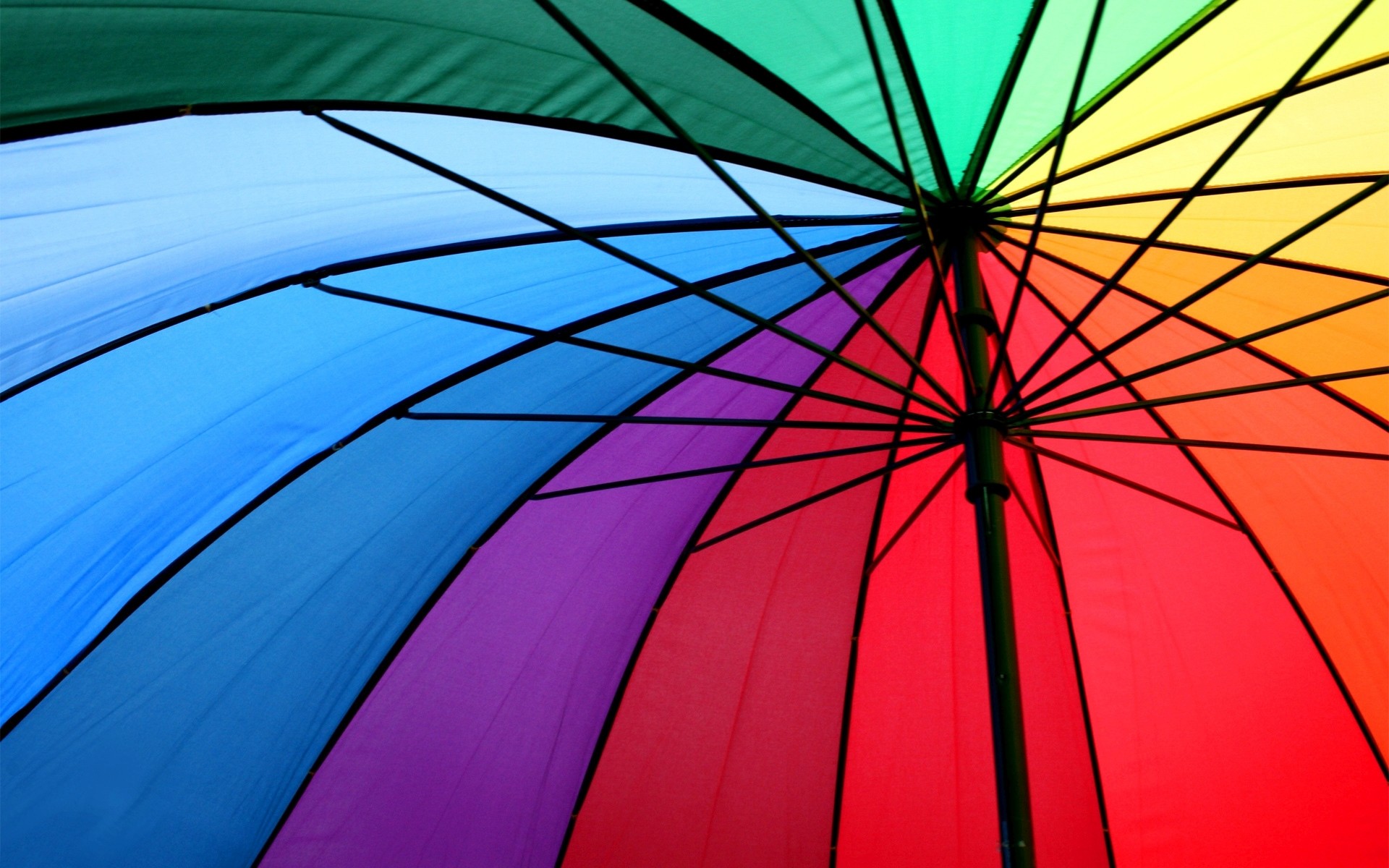 우산 벽지,우산,푸른,초록,보라색,화려 함