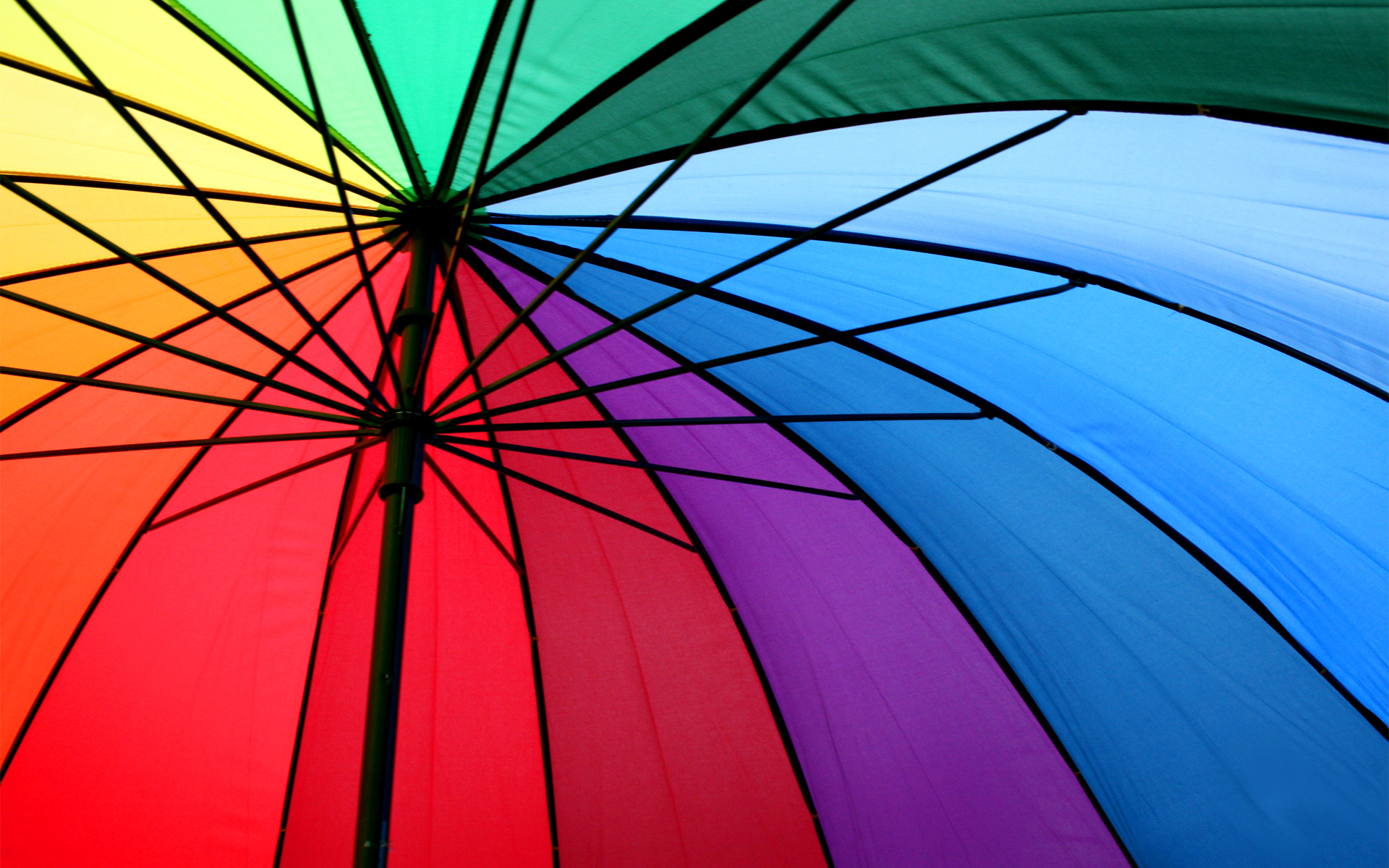우산 벽지,우산,푸른,초록,보라색,분홍
