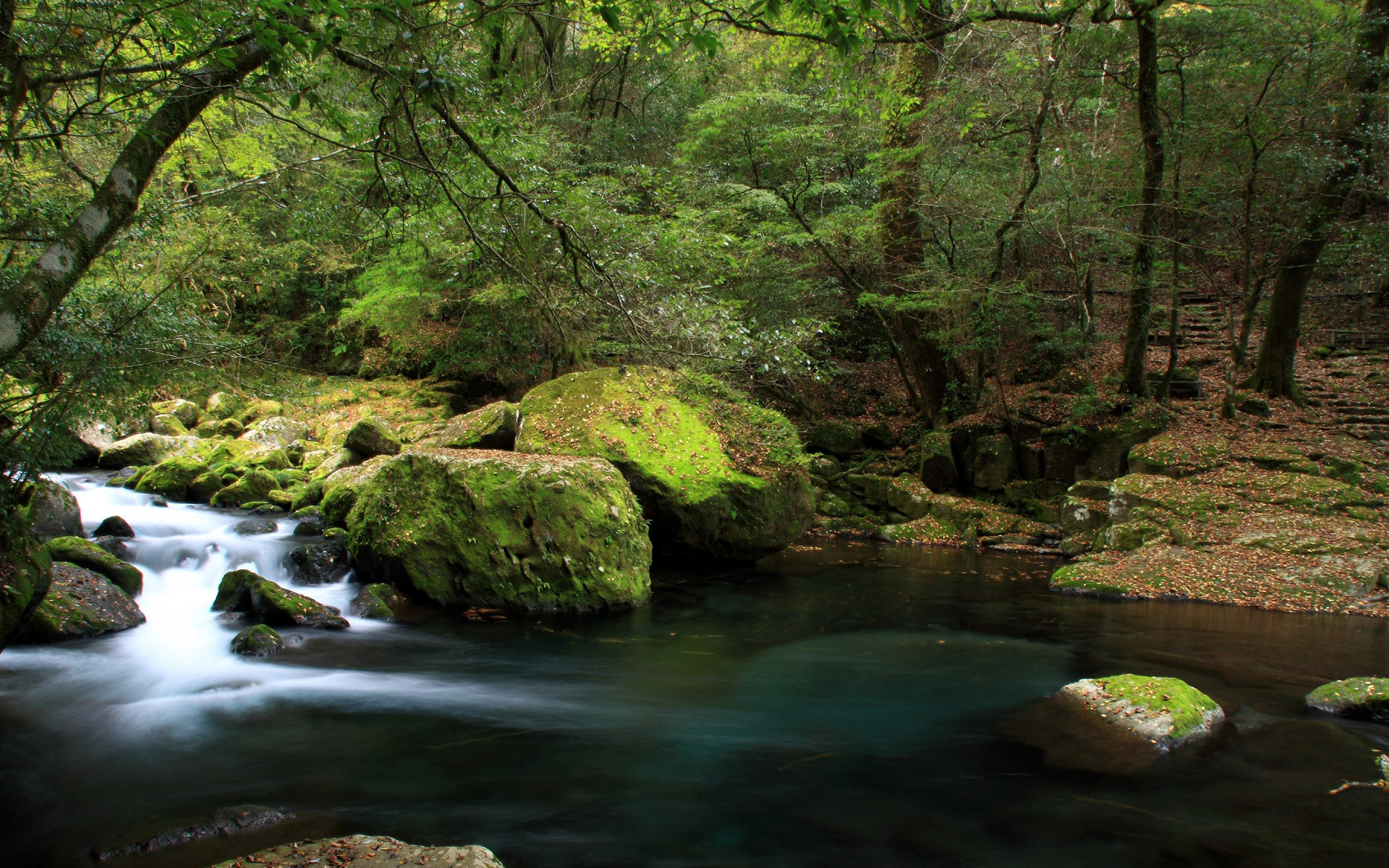 river wallpaper,body of water,stream,natural landscape,nature,water resources