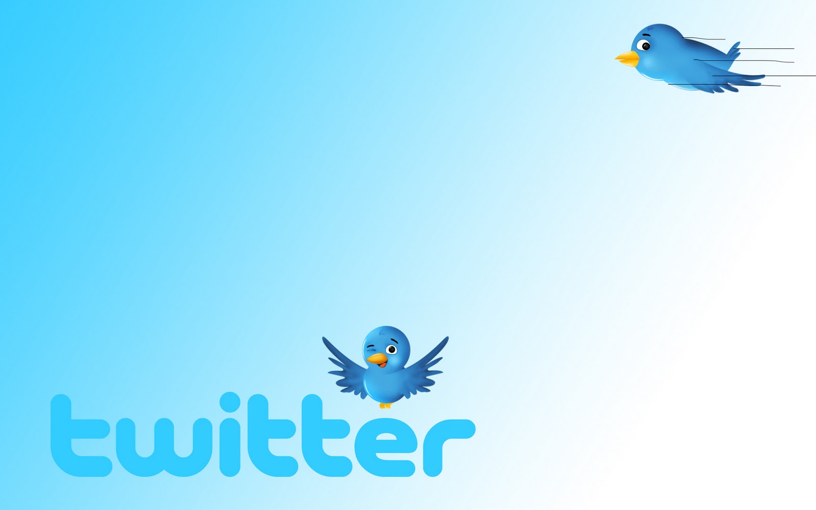 sfondo di twitter,acqua,font,grafica,uccello,disegno grafico