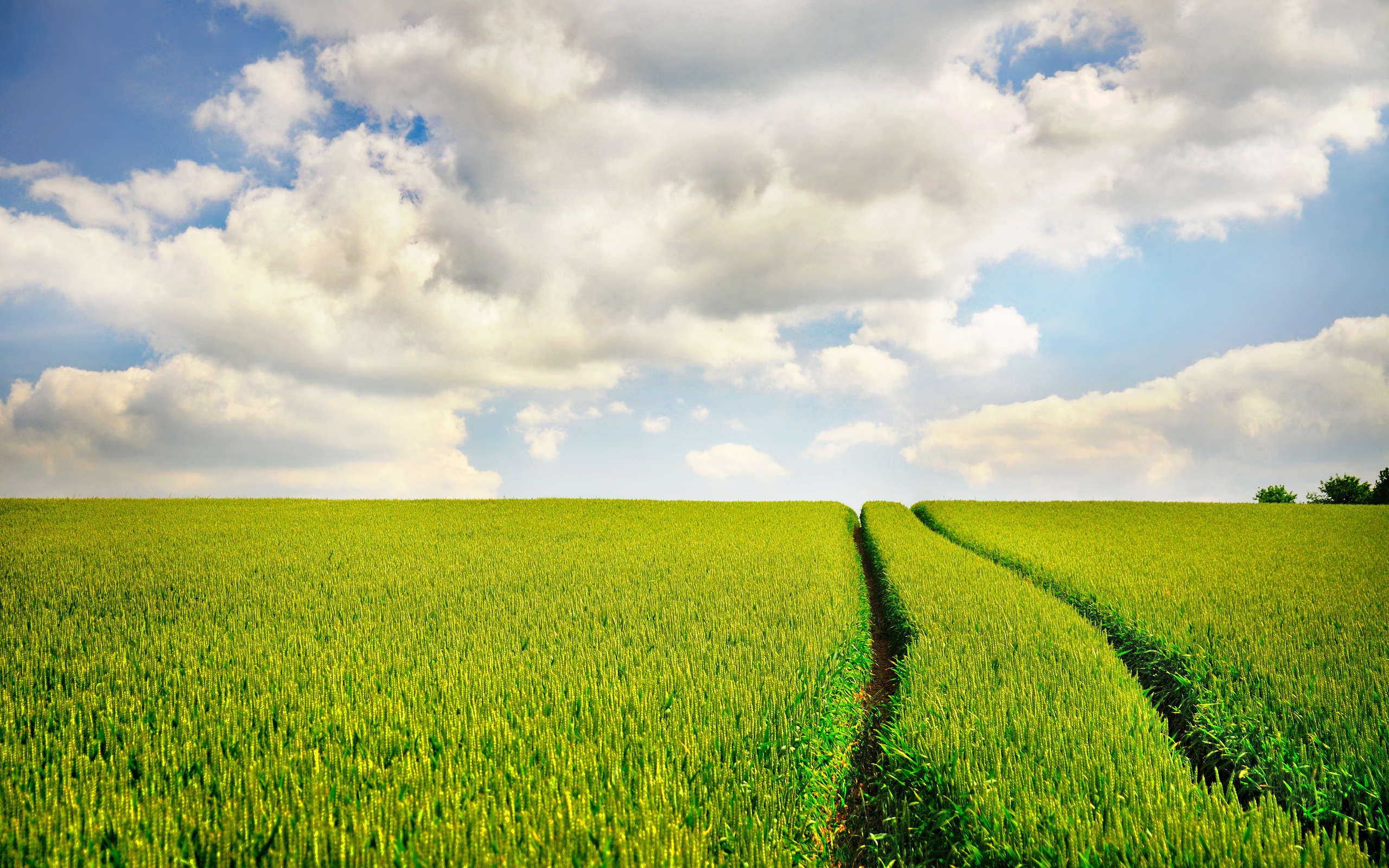 field wallpaper,field,natural landscape,people in nature,sky,green