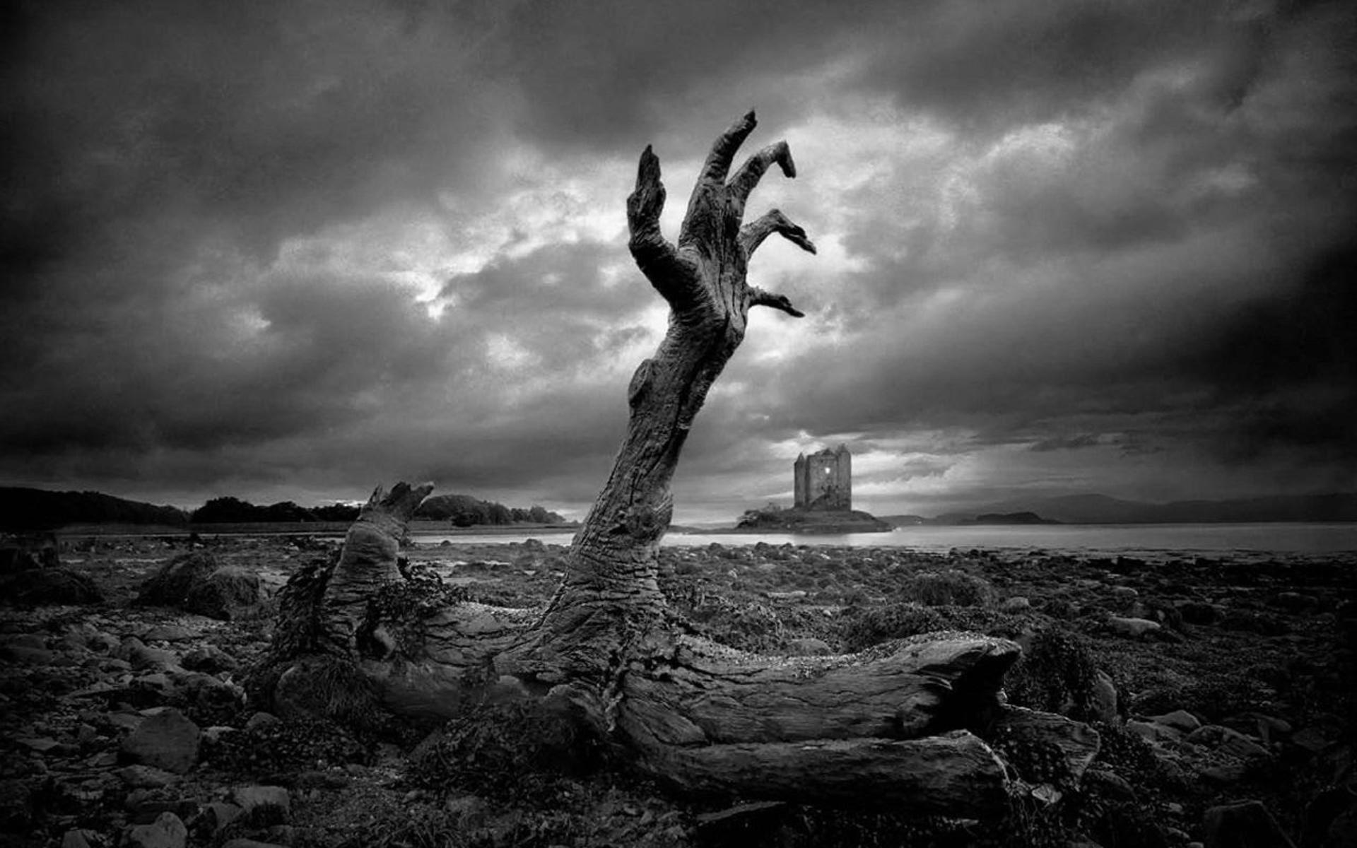 シュールな壁紙 自然 空 黒 モノクロ写真 黒と白 Wallpaperuse シュールな壁紙 自然 空 黒 モノクロ写真 黒と白 Wallpaperuse