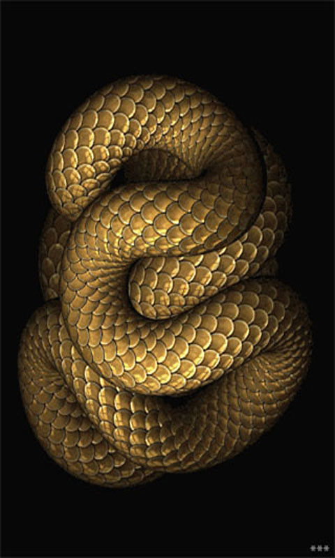 serpente live wallpaper,serpente,rettile,serpente,serpente a sonagli,elapidae