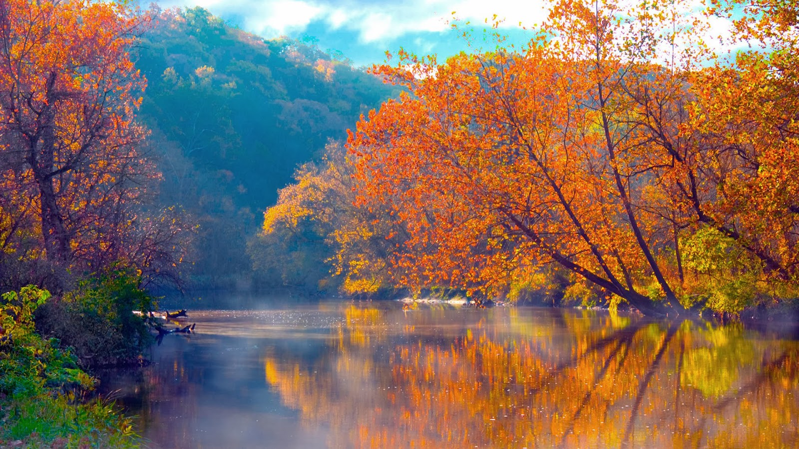 fond d'écran automne,paysage naturel,la nature,réflexion,arbre,feuille