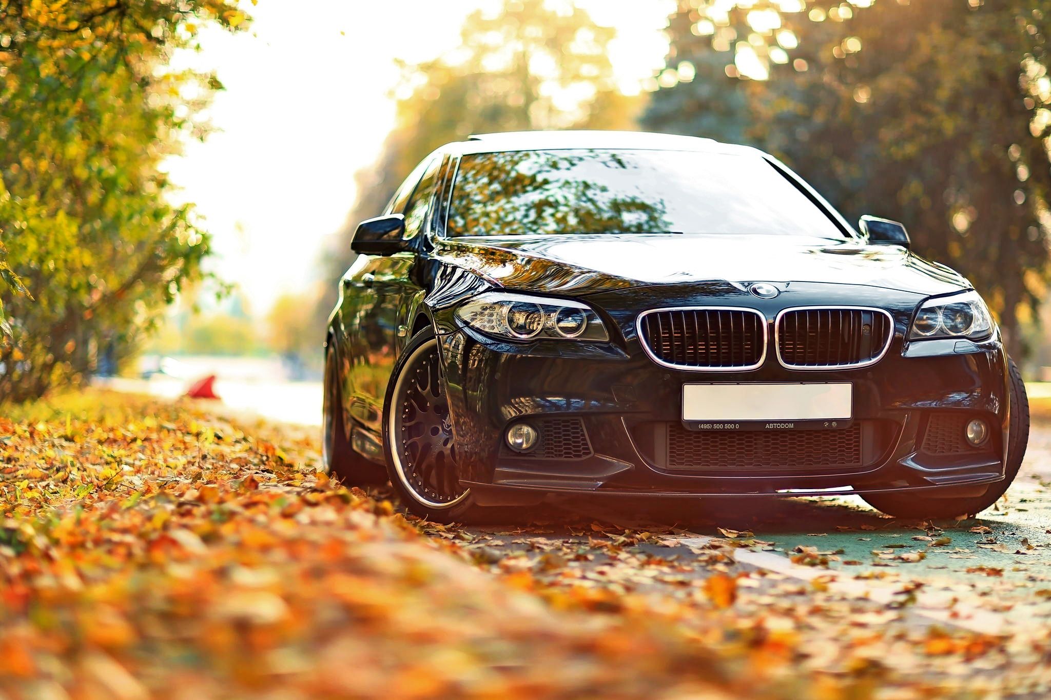 bmw car hd wallpaper,land vehicle,vehicle,car,motor vehicle,automotive design