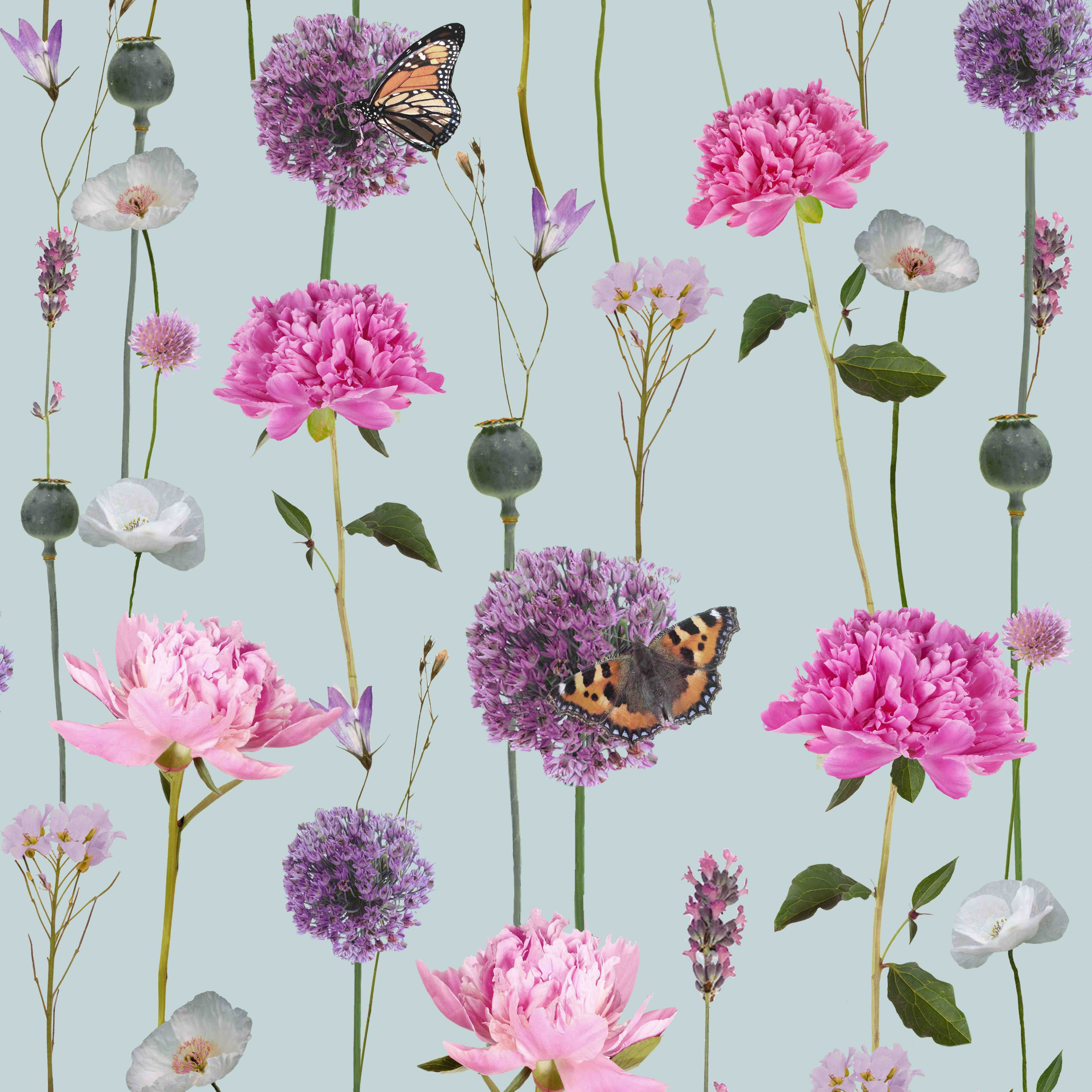 glitter wallpaper b&q,flower,plant,pink,butterfly,insect (934079