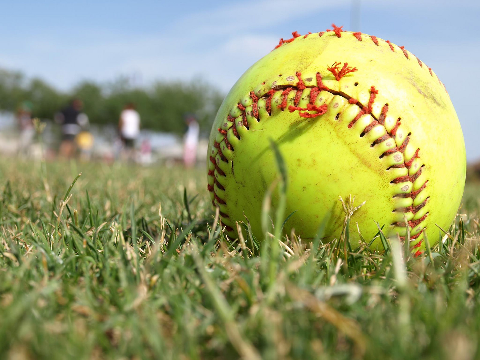 fonds d'écran de softball,base ball,jeux de batte et de balle,balle molle,herbe,softball universitaire