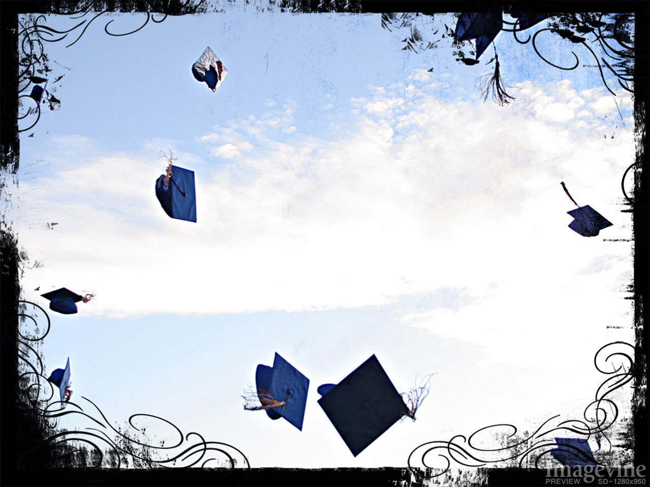 fond d'écran de graduation,bleu,ciel,conception,arbre,illustration