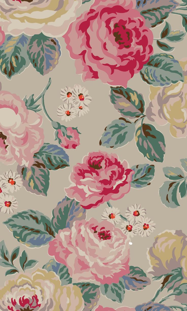 cath kidston tapete,gartenrosen,rosa centifolia,rosa,muster,rose