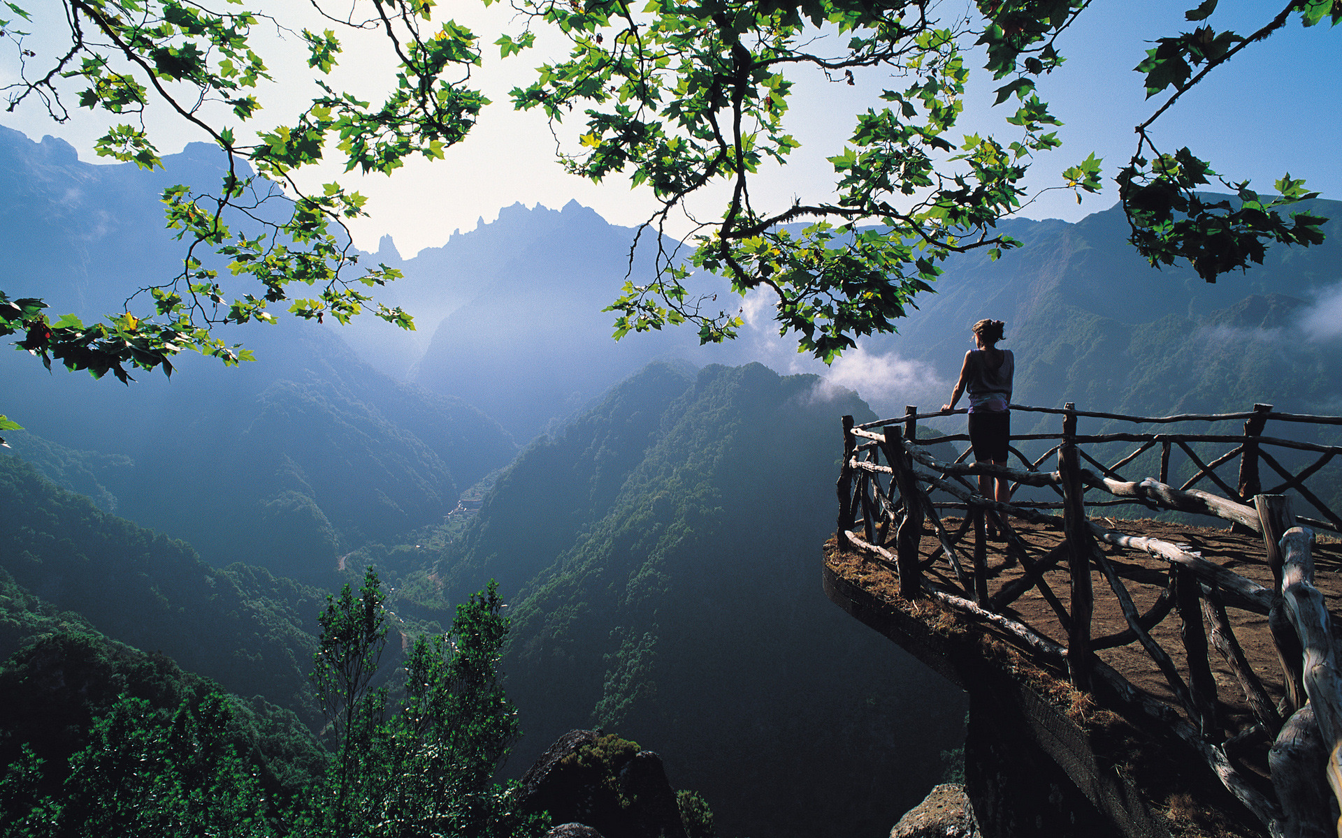 tapete madeira,natur,bergstation,himmel,natürliche landschaft,baum