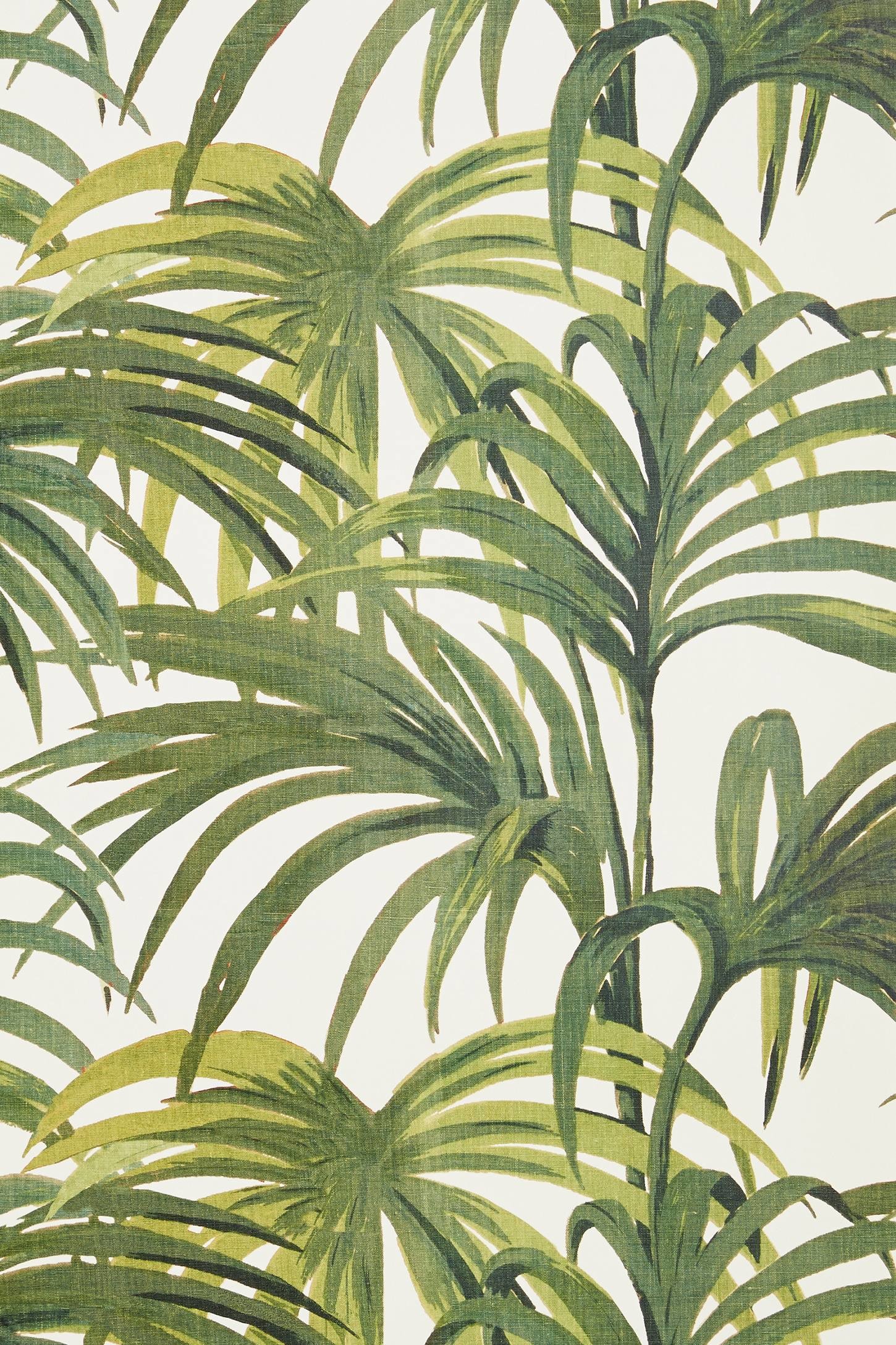 palm leaf wallpaper,plant,houseplant,terrestrial plant,vegetation,tree