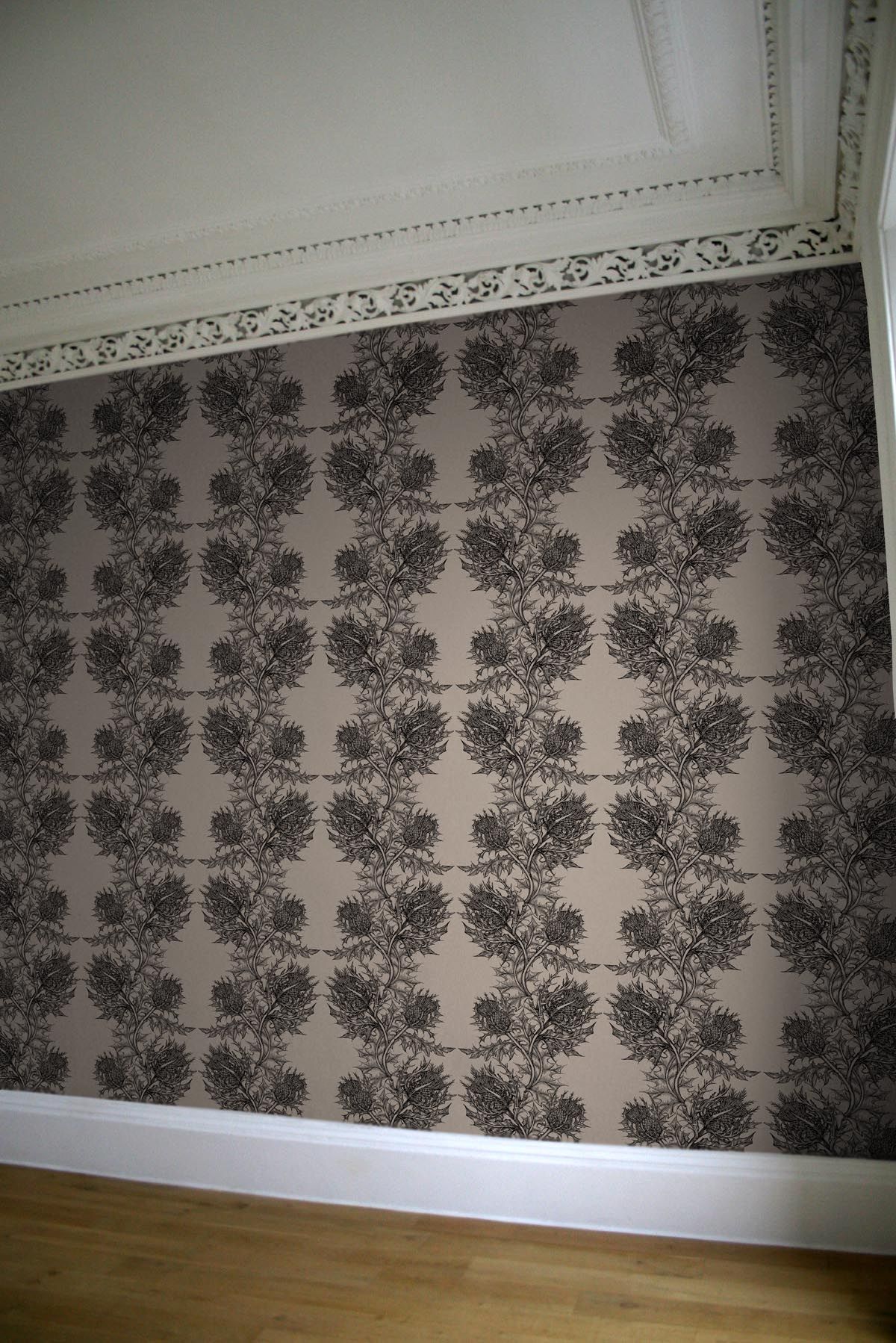 Thistle Wallpaper- WallpaperUse