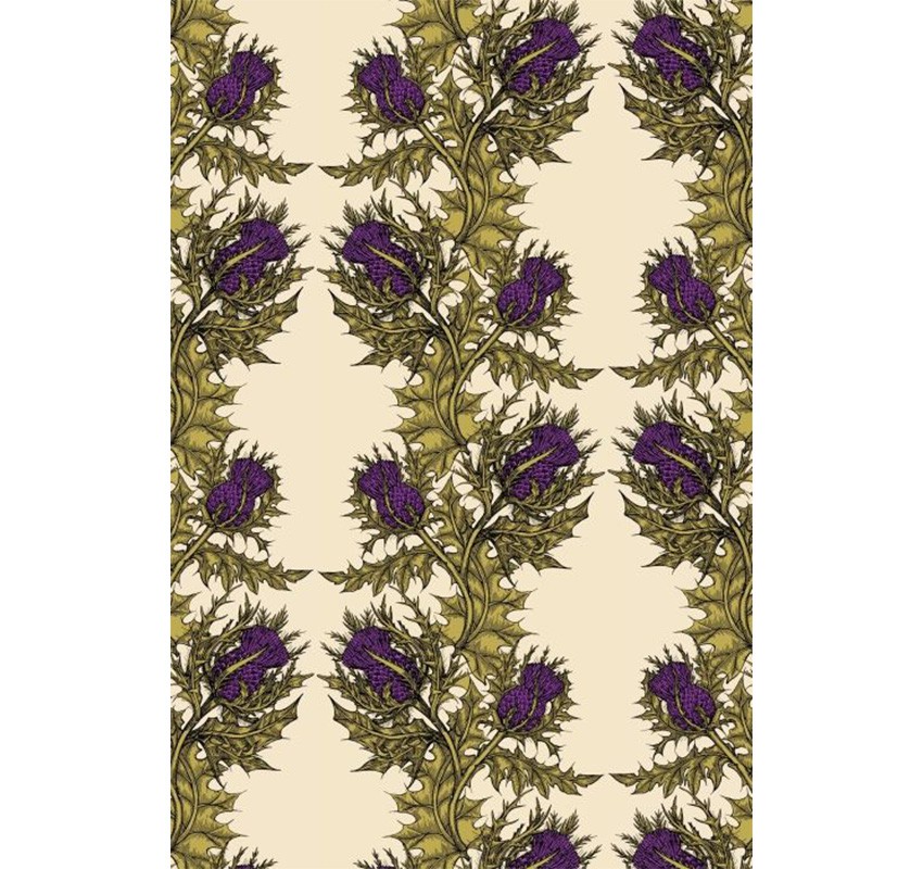 thistle wallpaper,purple,lavender,violet,green,plant