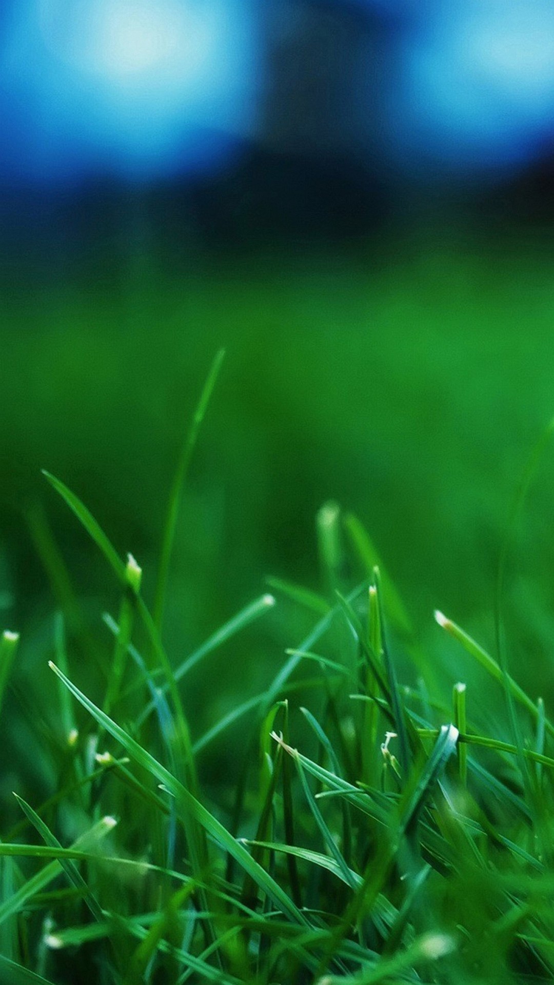 pretty iphone wallpaper,green,grass,water,nature,lawn