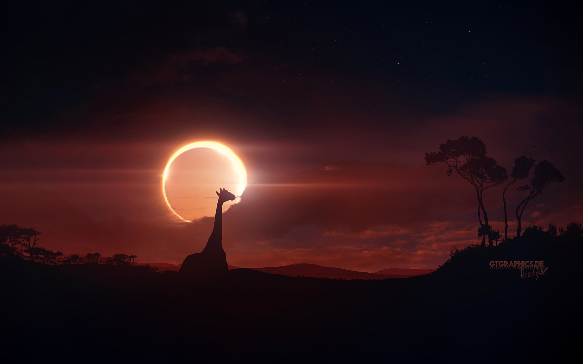 fondo de pantalla eclipse,cielo,naturaleza,ligero,árbol,objeto astronómico