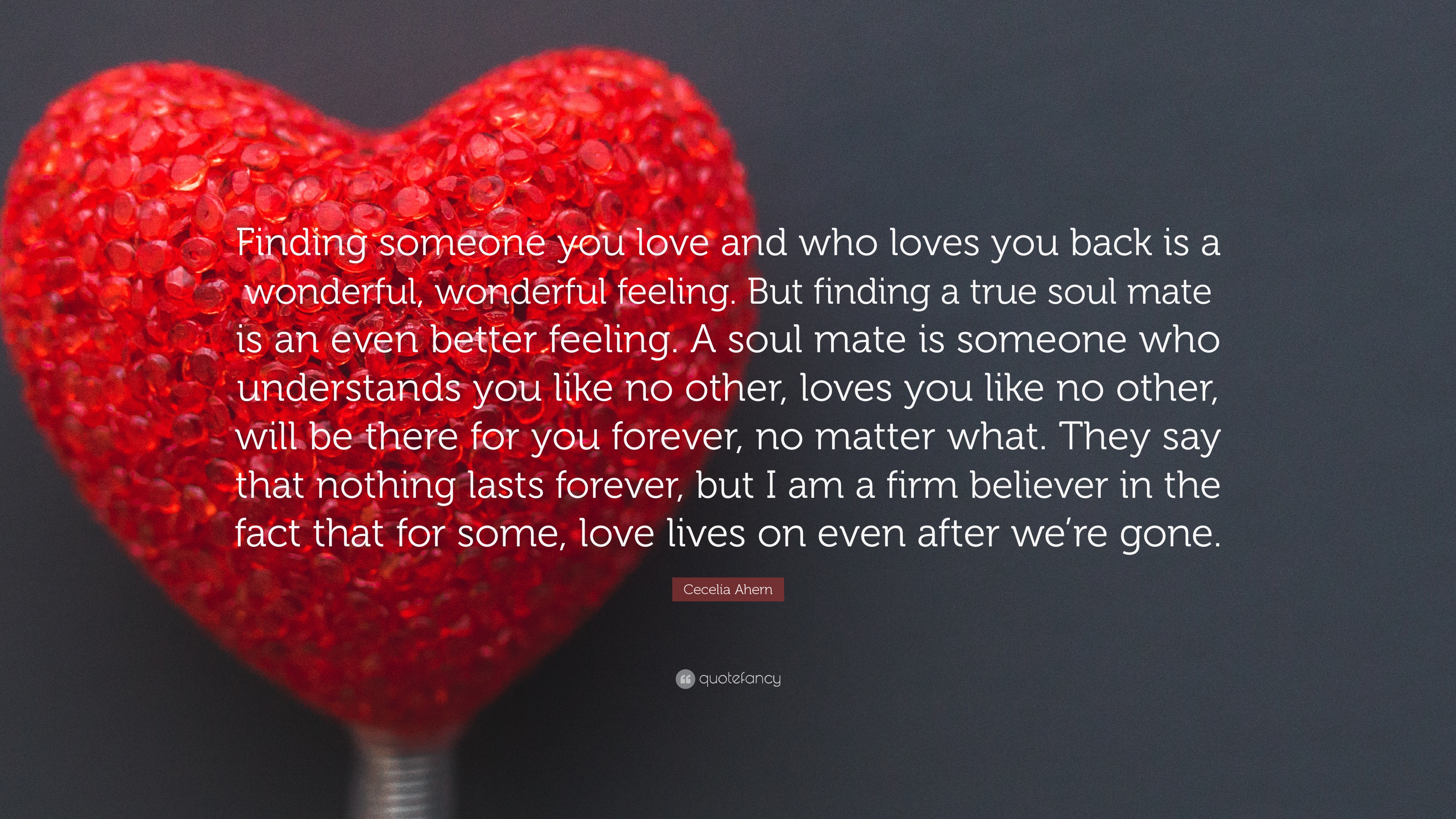 romantic wallpaper with quotes,heart,love,valentine's day,red,text