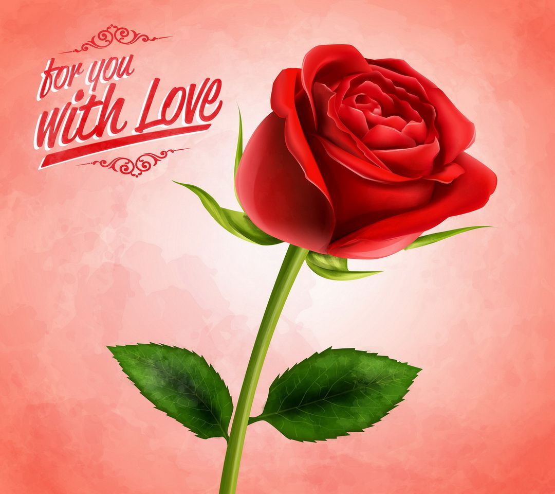 love rose wallpaper free download,garden roses,flower,red,petal,rose