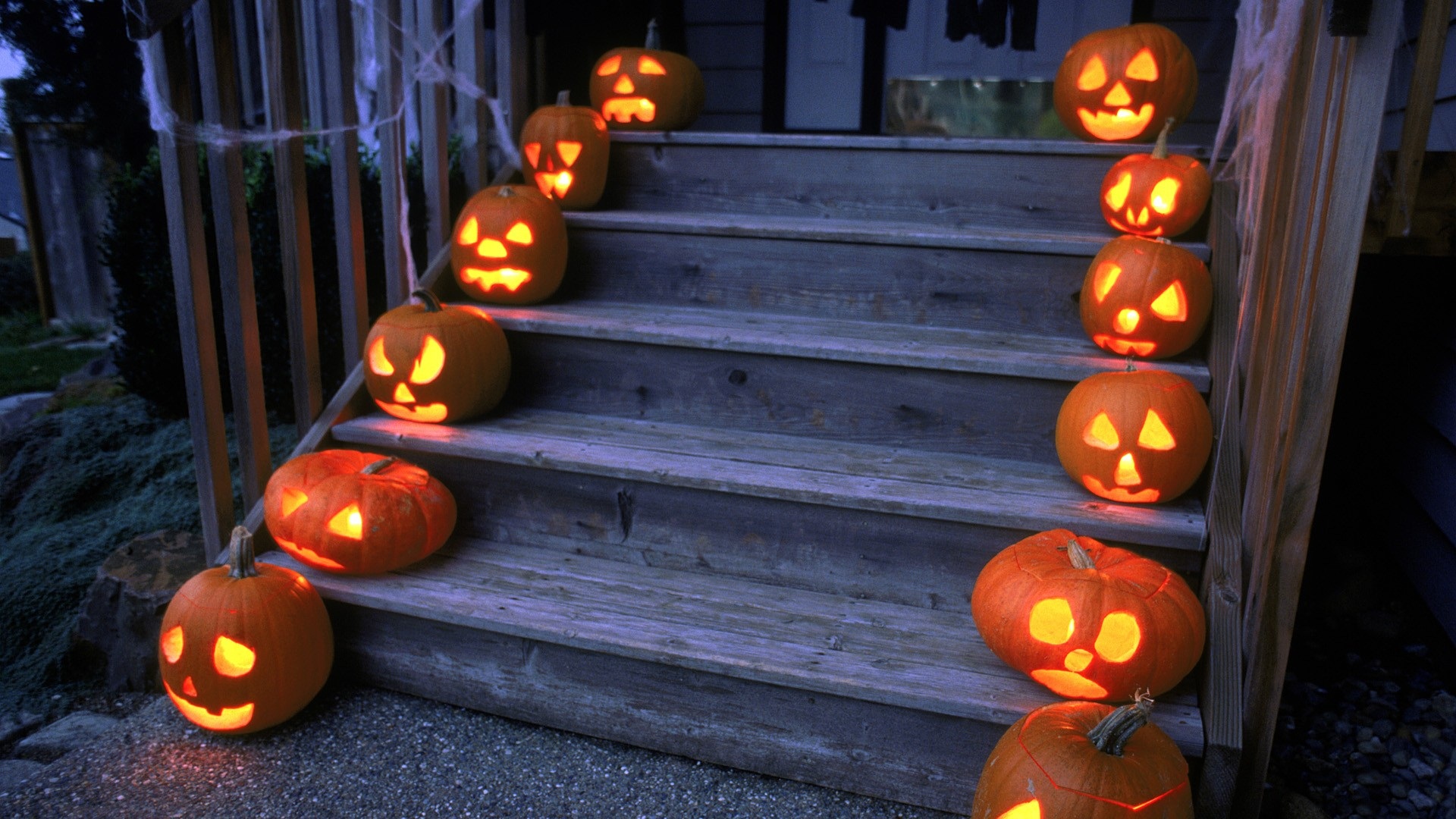 halloween fondos de pantalla hd,calabaza,jack o linterna,truco o trato