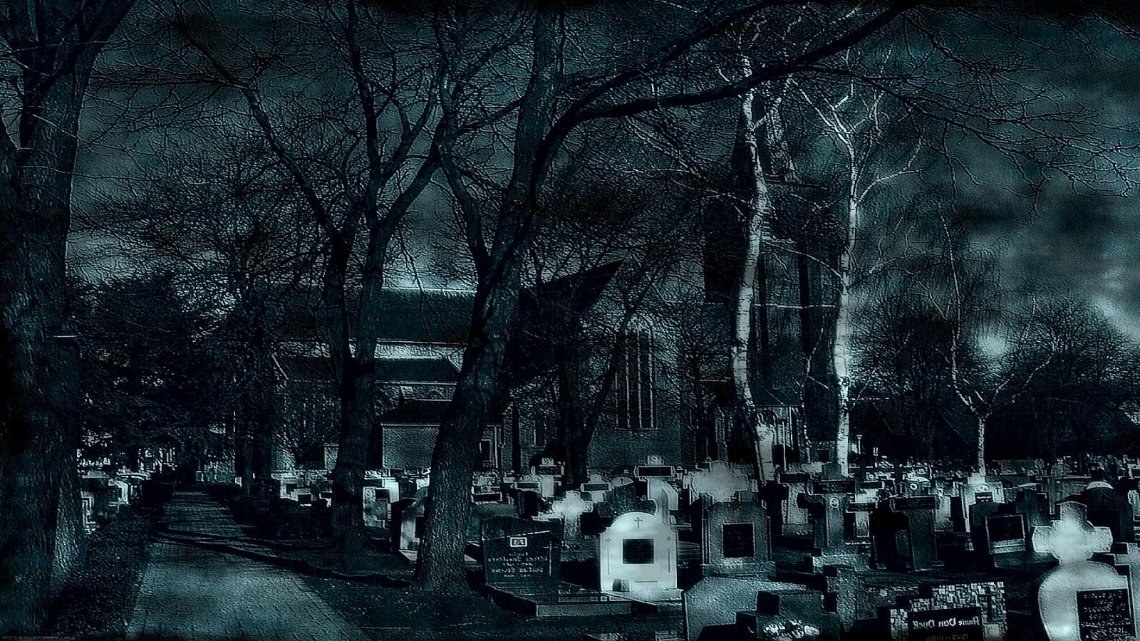 spaventoso live wallpaper,nero,monocromatico,buio,albero,cimitero